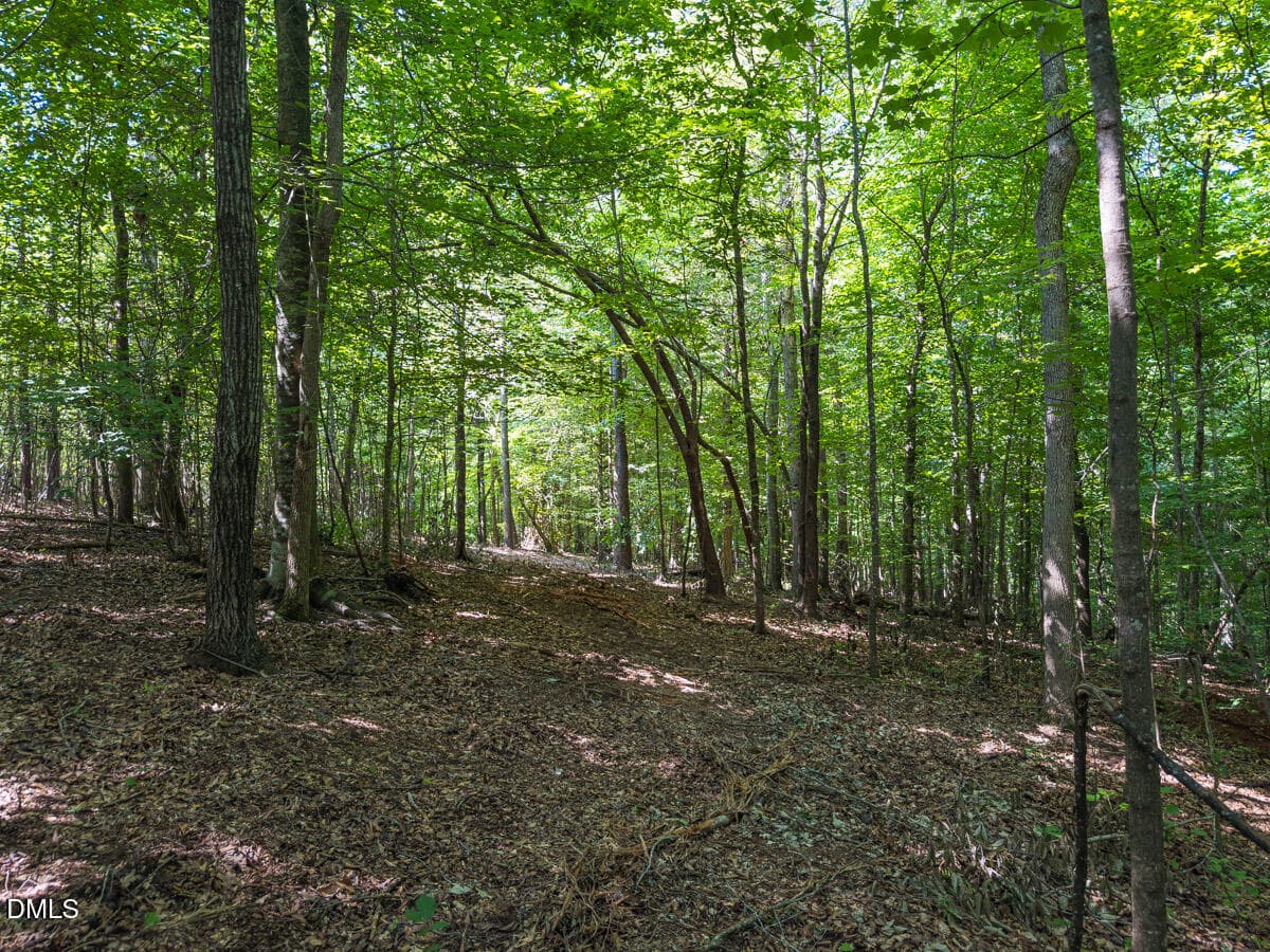 Durham Co. NC 32.68-Rogers-Lot3-019 - 00 Cassam Road, Bahama, NC 27503, Bahama