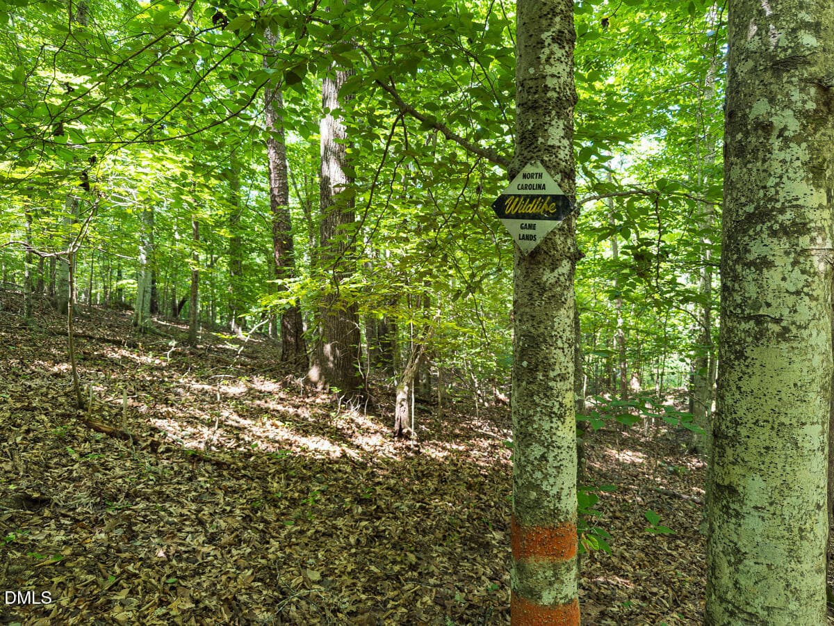 Durham Co. NC 32.68-Rogers-Lot3-020 - 00 Cassam Road, Bahama, NC 27503, Bahama