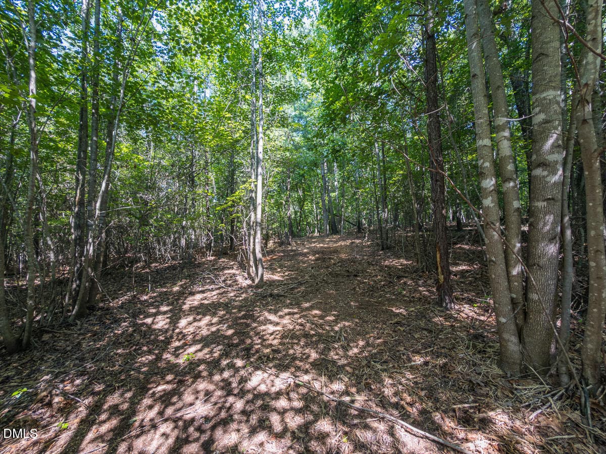 Durham Co. NC 32.68-Rogers-Lot3-042 - 00 Cassam Road, Bahama, NC 27503, Bahama