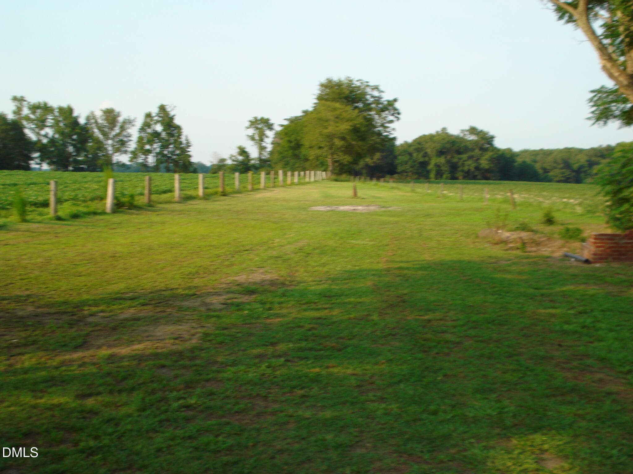 DSC09258 - 3900 N Spring Branch Road, Dunn, NC 28334
