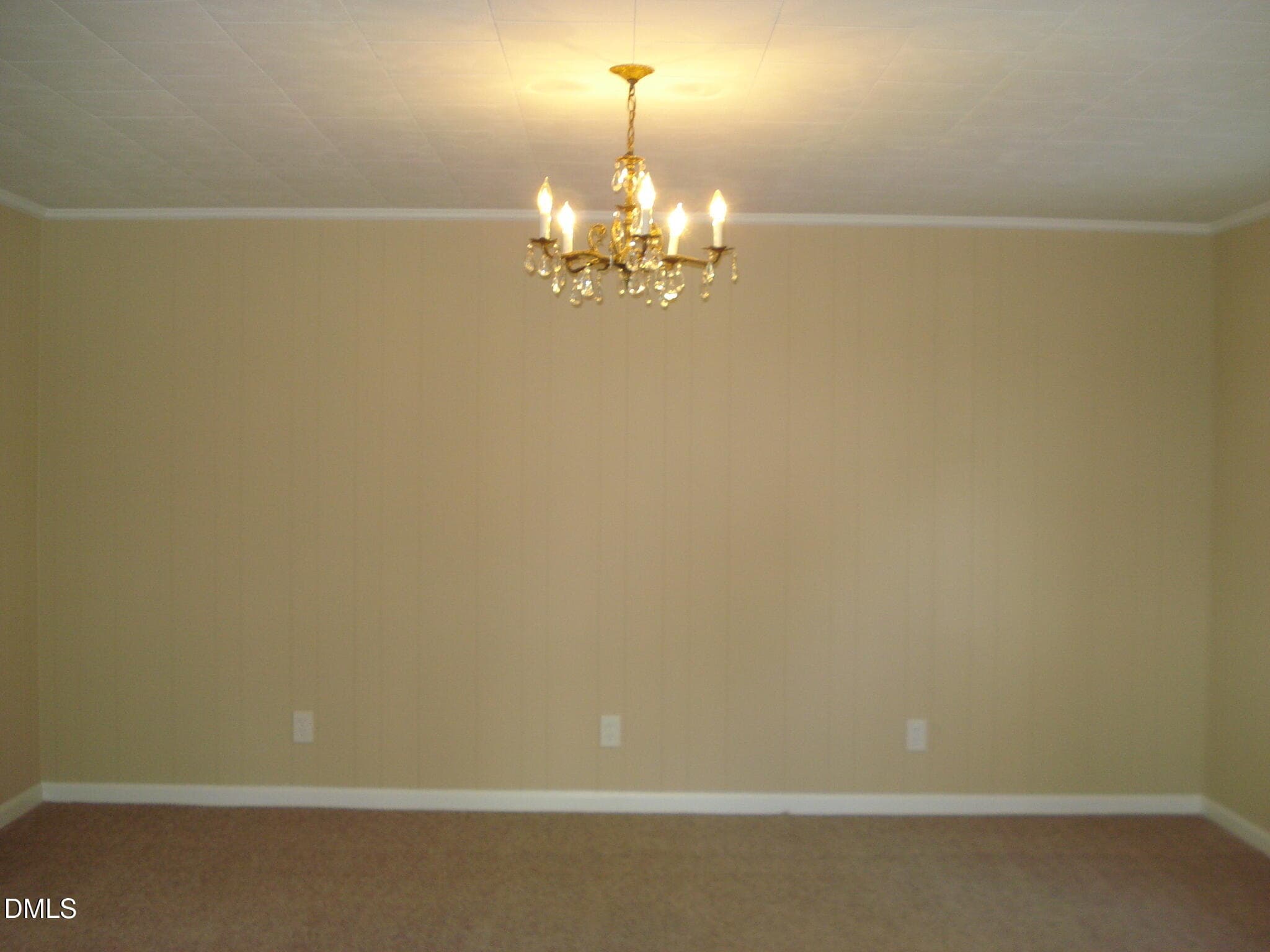DSC09214 - 3900 N Spring Branch Road, Dunn, NC 28334