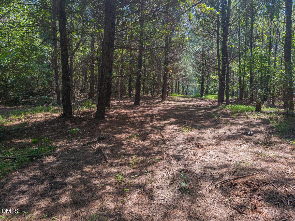 Durham Co. NC 54.42-Rogers-Lot4-012 - 00 Cassam Road, Bahama, NC 27503, Bahama