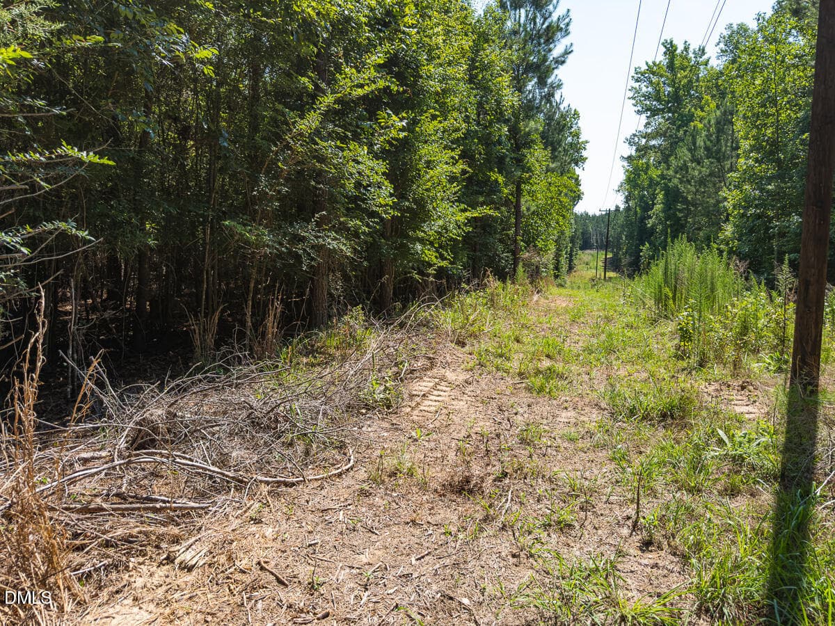 Durham Co. NC 54.42-Rogers-Lot4-030 - 00 Cassam Road, Bahama, NC 27503, Bahama