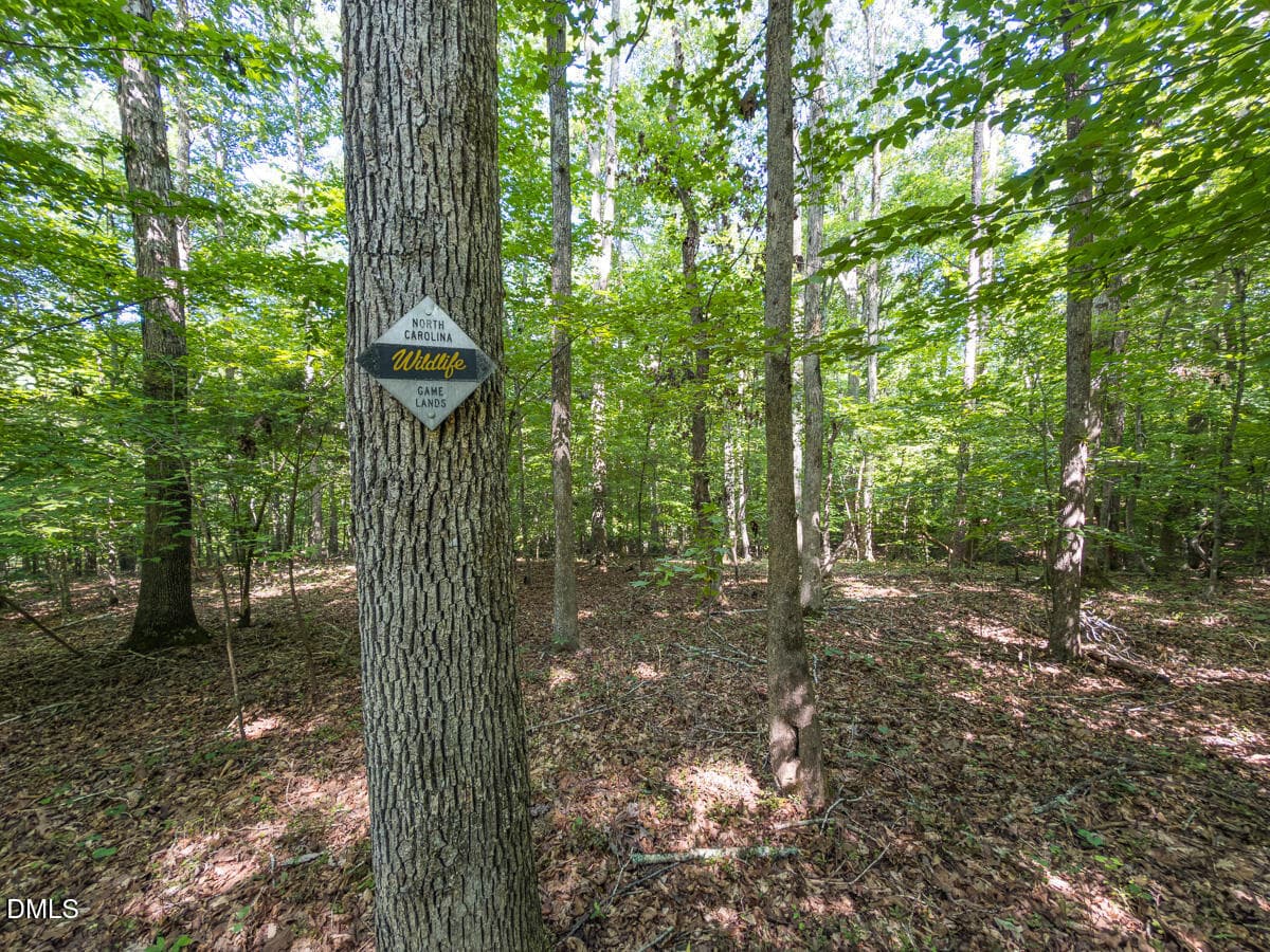 Durham Co. NC 54.42-Rogers-Lot4-037 - 00 Cassam Road, Bahama, NC 27503, Bahama