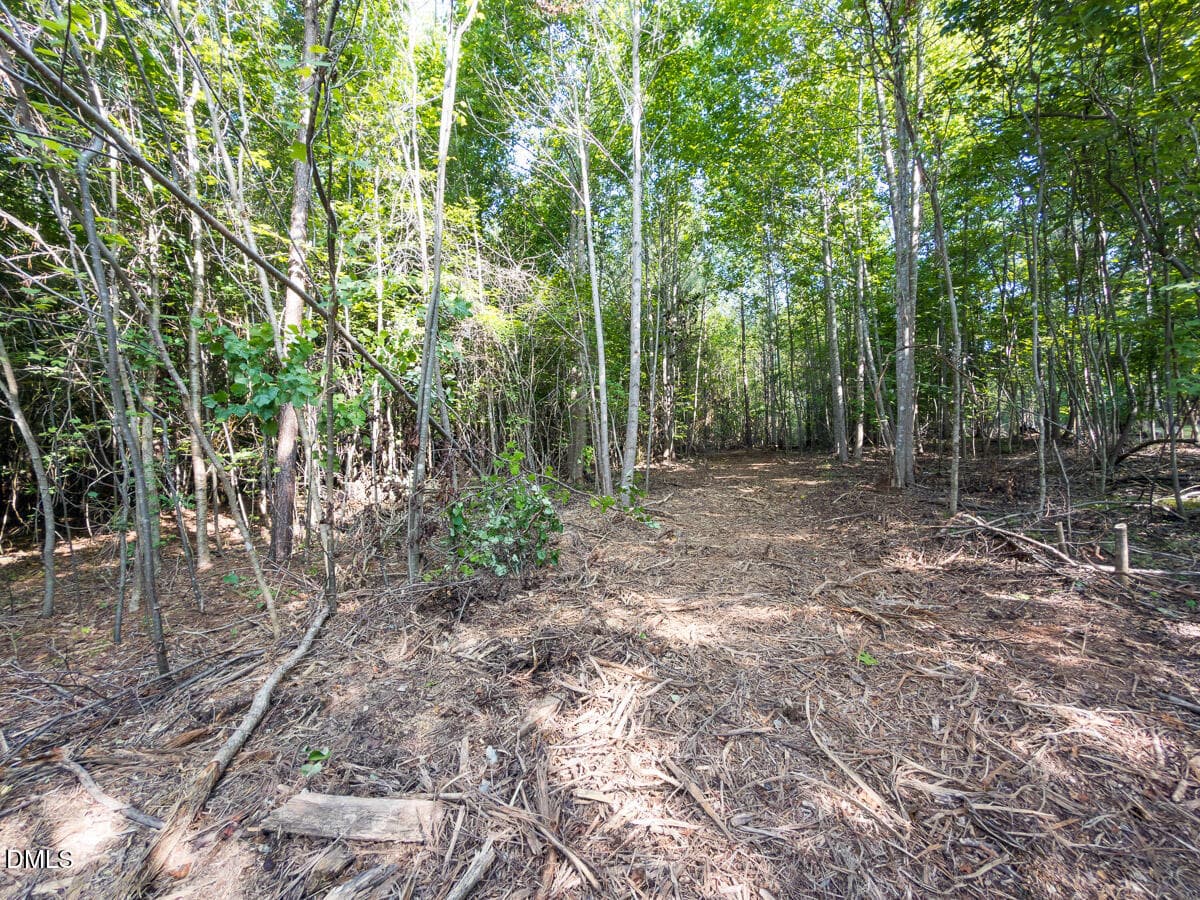 Durham Co. NC 54.42-Rogers-Lot4-043 - 00 Cassam Road, Bahama, NC 27503, Bahama
