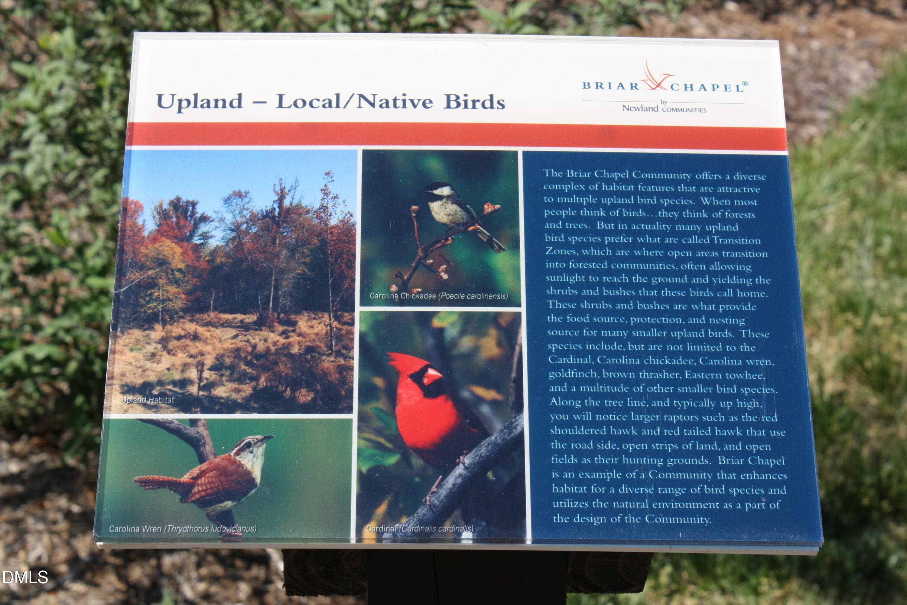 Nature Education - 93 Abercorn Circle, Chapel Hill, NC 27516, Chapel Hill