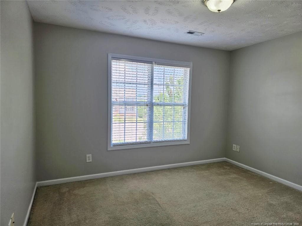 Photo 19 - 84 Gloucester Courts, Cameron, NC 28326