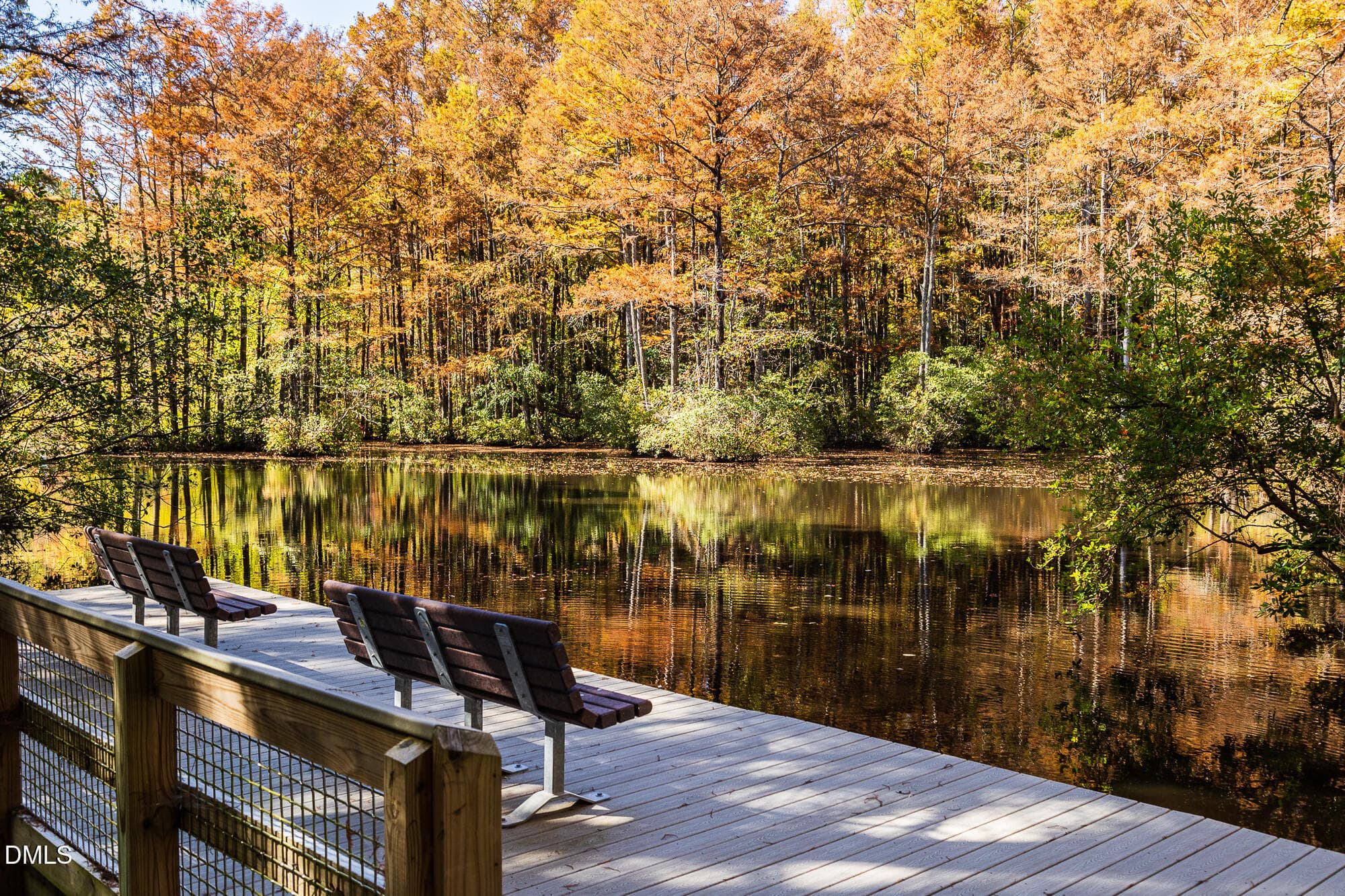 Nearby Area (9) - 110 Sweetbay Tree Drive, Wendell, NC 27591