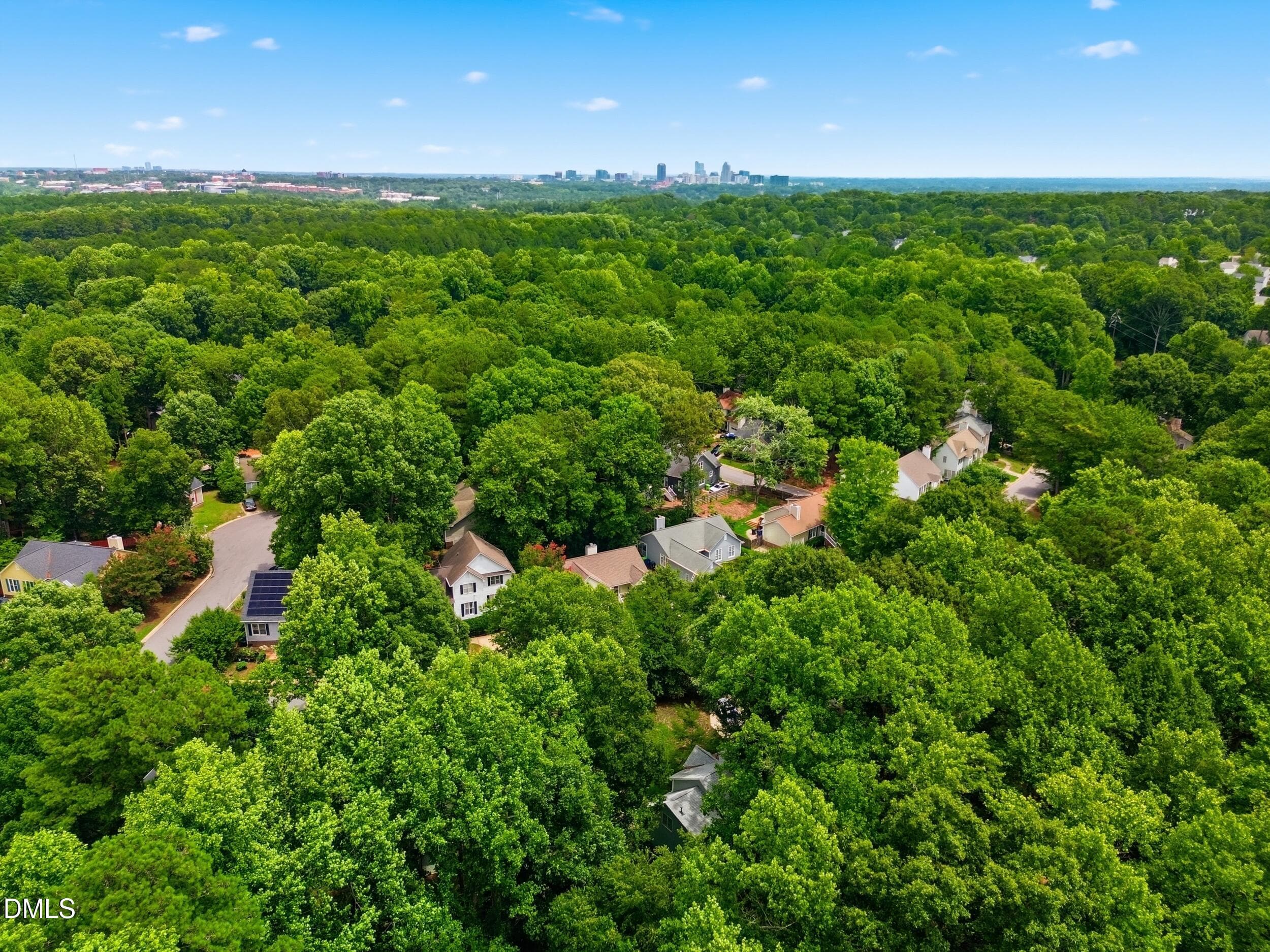 dji_0008 - 2917 Isabella Drive, Raleigh, NC 27603, Raleigh