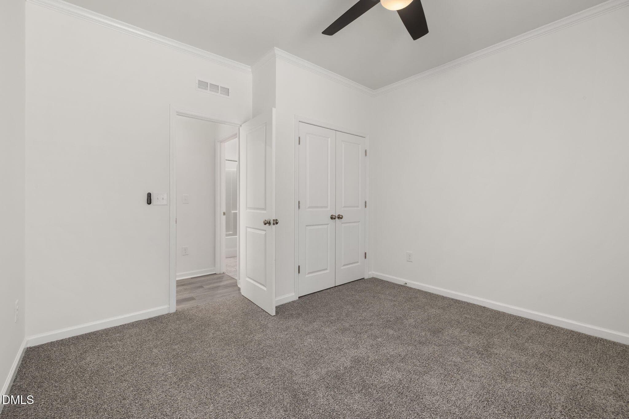 Downstairs Bedroom - 905 Holly Bluff Lane, Durham, NC 27713, Durham