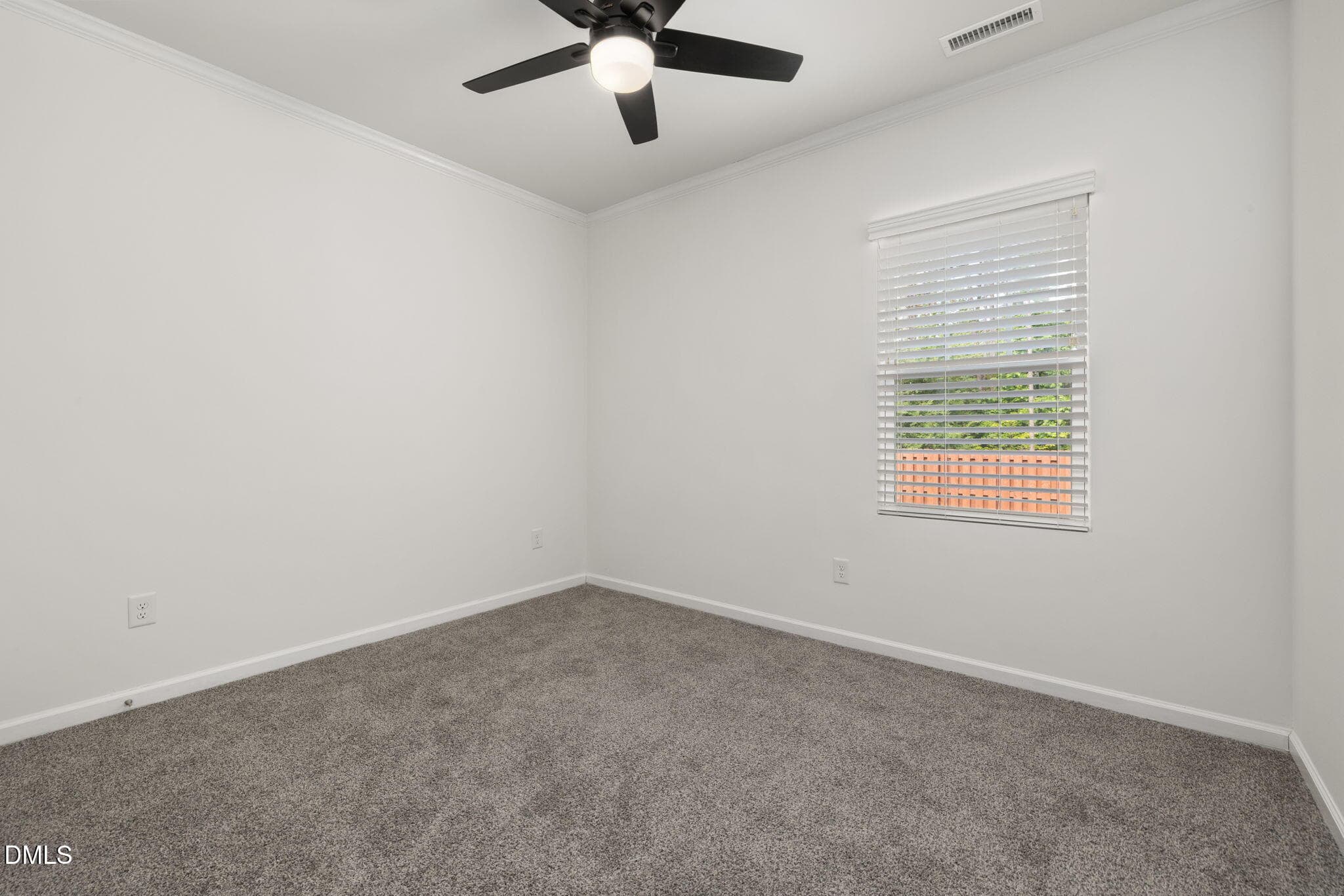 Downstairs Bedroom - 905 Holly Bluff Lane, Durham, NC 27713, Durham