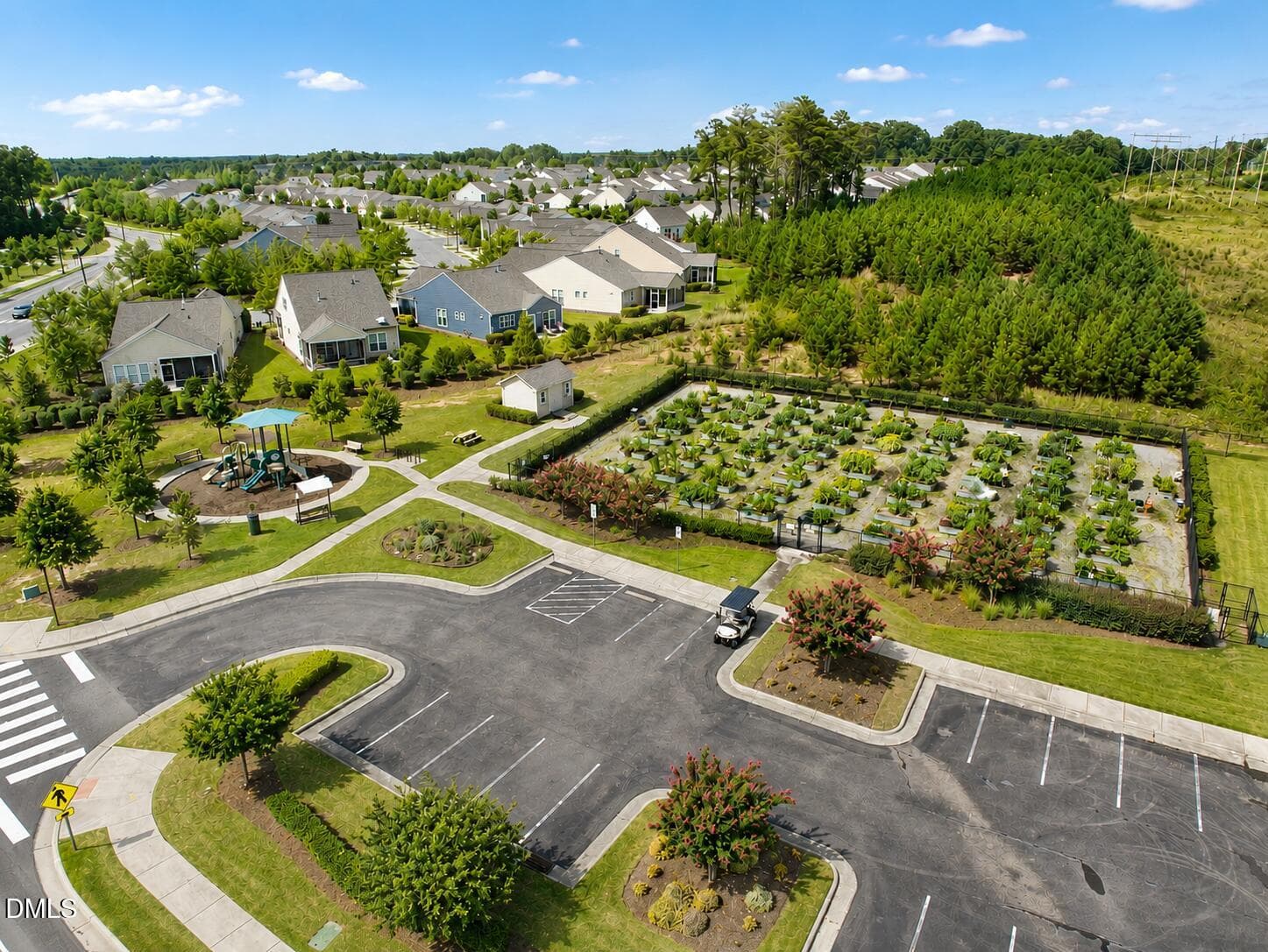 Community gardern - 1426 Palmer Hill Drive, Durham, NC 27703, Durham