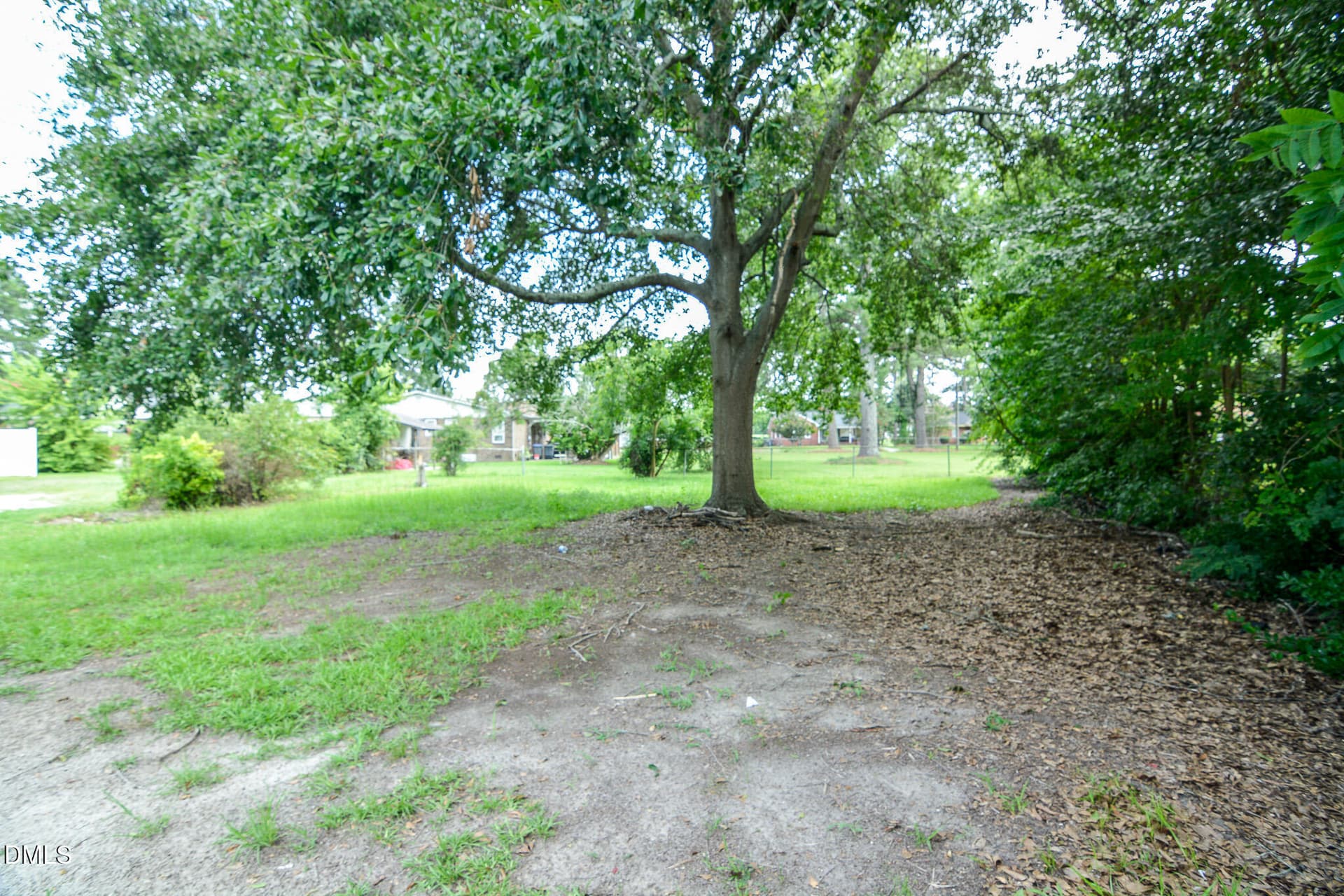167-Backyard - 167 Spaulding Drive, Rocky Mount, NC 27801