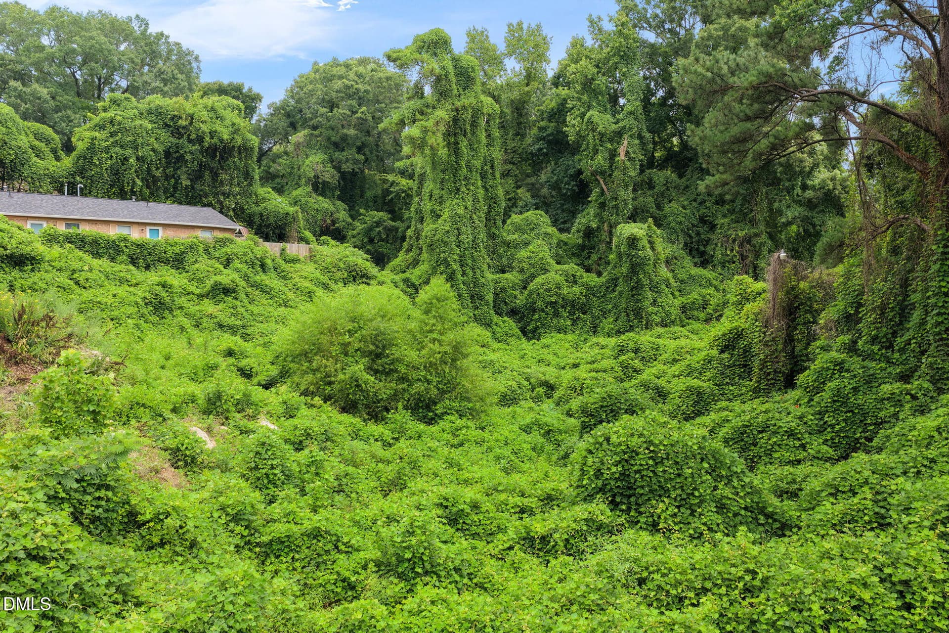 View - 1608 Gunter Street, Durham, NC 27707