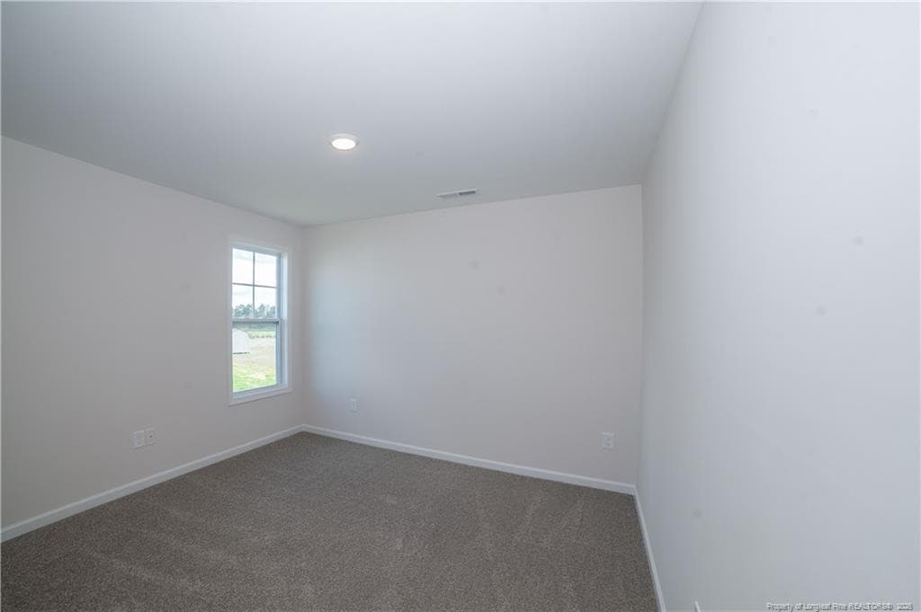 Photo 19 - 68 Mossy Bridge Court, Lillington, NC 27546