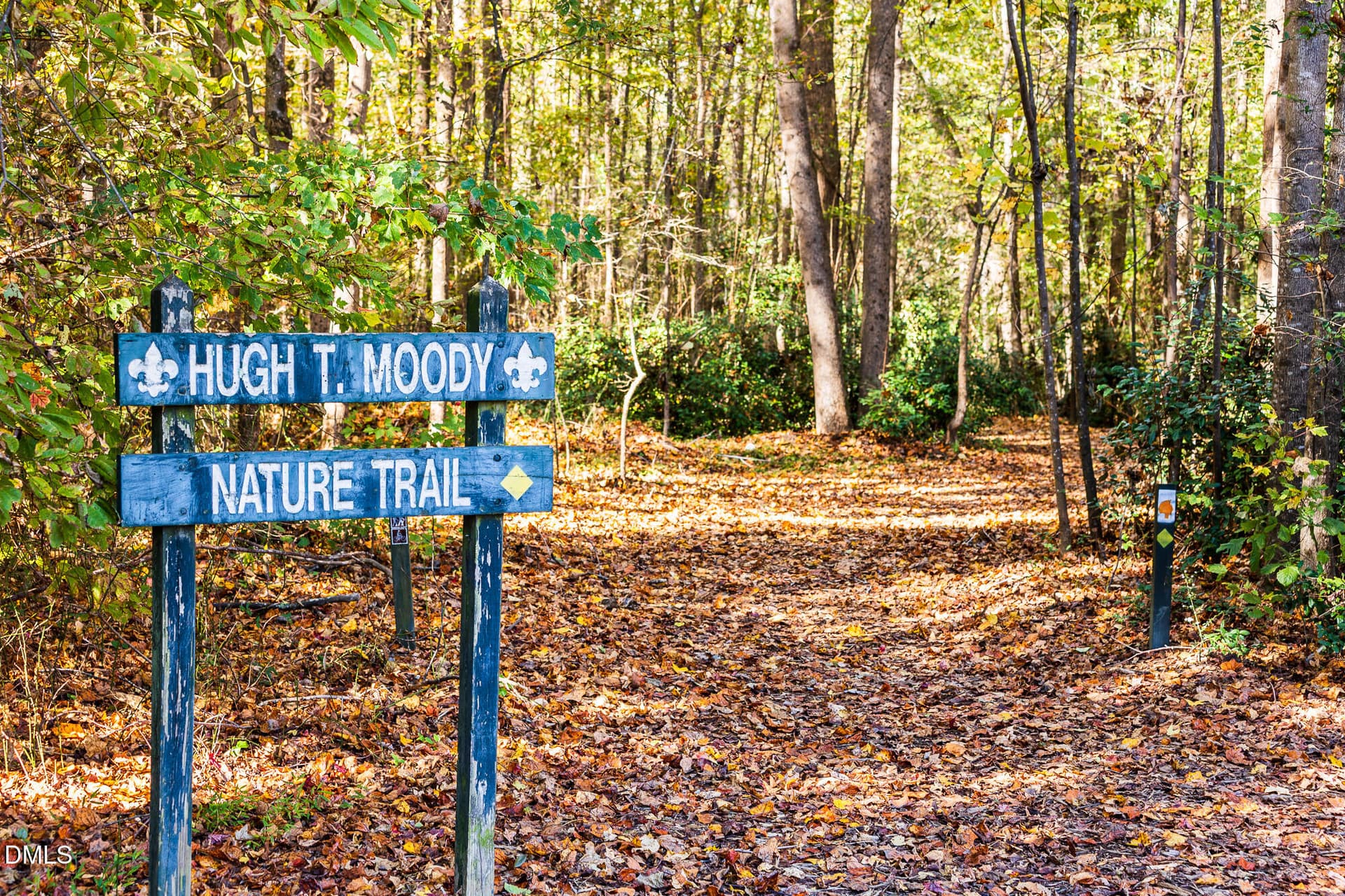Nearby Area - 116 Sweetbay Tree Drive, Wendell, NC 27591