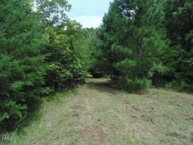 DSC06917-DESKTOP-8UA5R2A - 0 Kerr Lake Road, Henderson, NC 27537