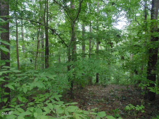 DSC06927-DESKTOP-8UA5R2A - 0 Kerr Lake Road, Henderson, NC 27537