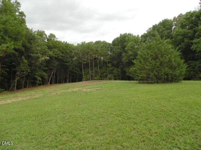 DSC07062 - 0 Kerr Lake Road, Henderson, NC 27537