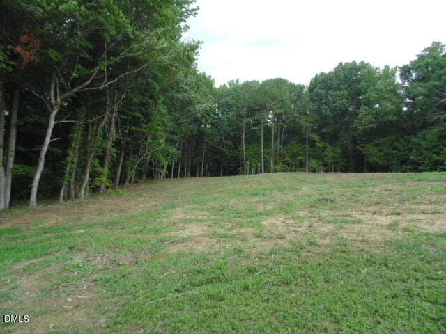 DSC07063 - 0 Kerr Lake Road, Henderson, NC 27537