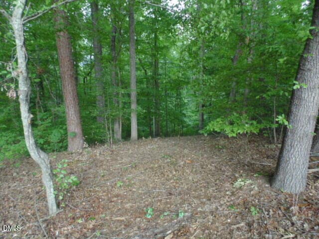 DSC07071 - 0 Kerr Lake Road, Henderson, NC 27537