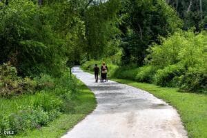 Brookside 25 - 2127 Barrier Rdg Way, Apex, NC 27502