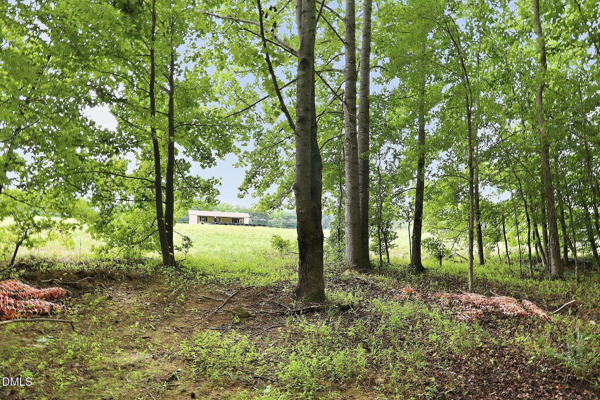 21-web-or-mls-IMG_4236_edit - 618 Bowen Road, Rougemont, NC 27572