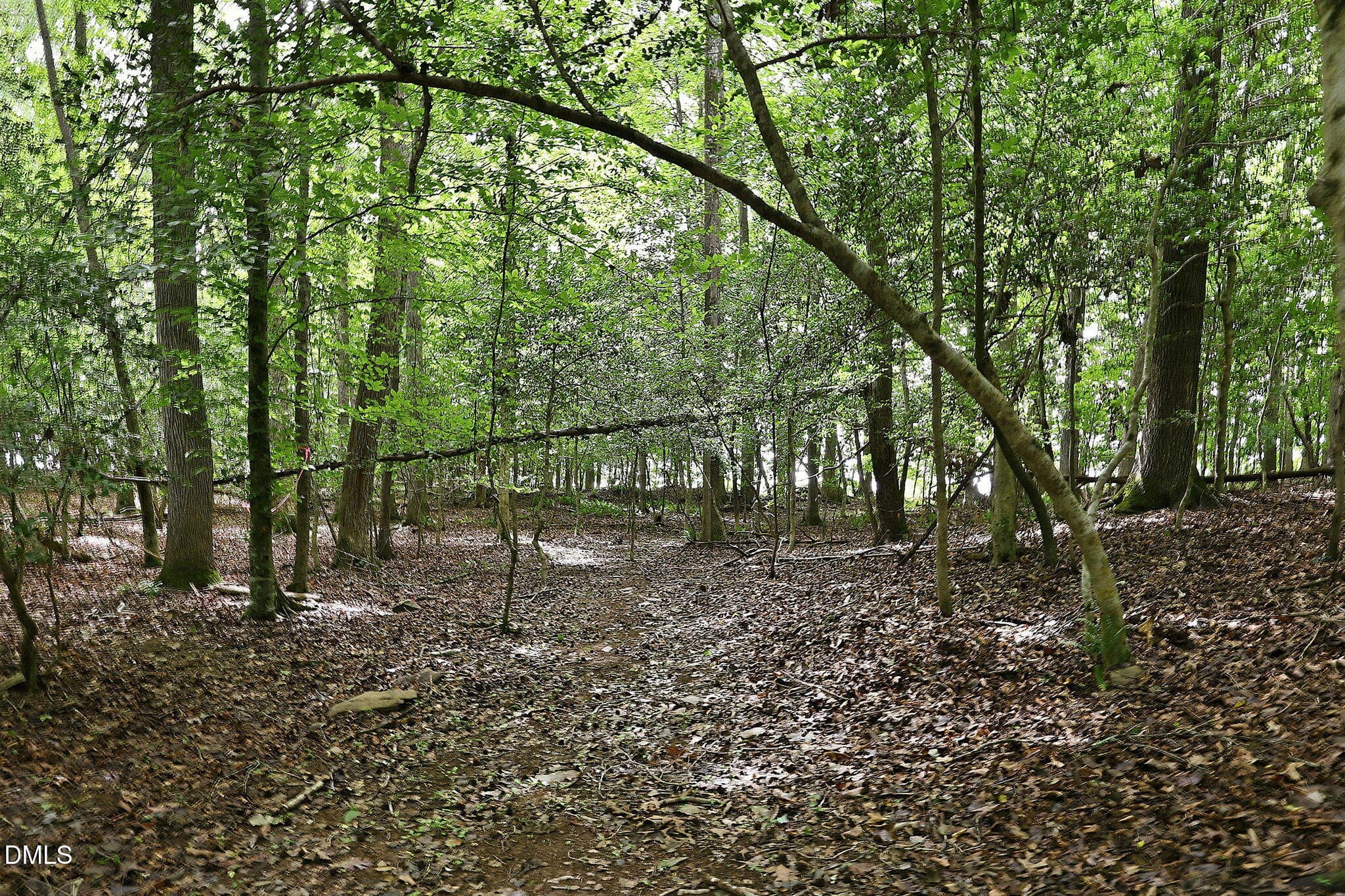 19-web-or-mls-IMG_4233_edit - 618 Bowen Road, Rougemont, NC 27572