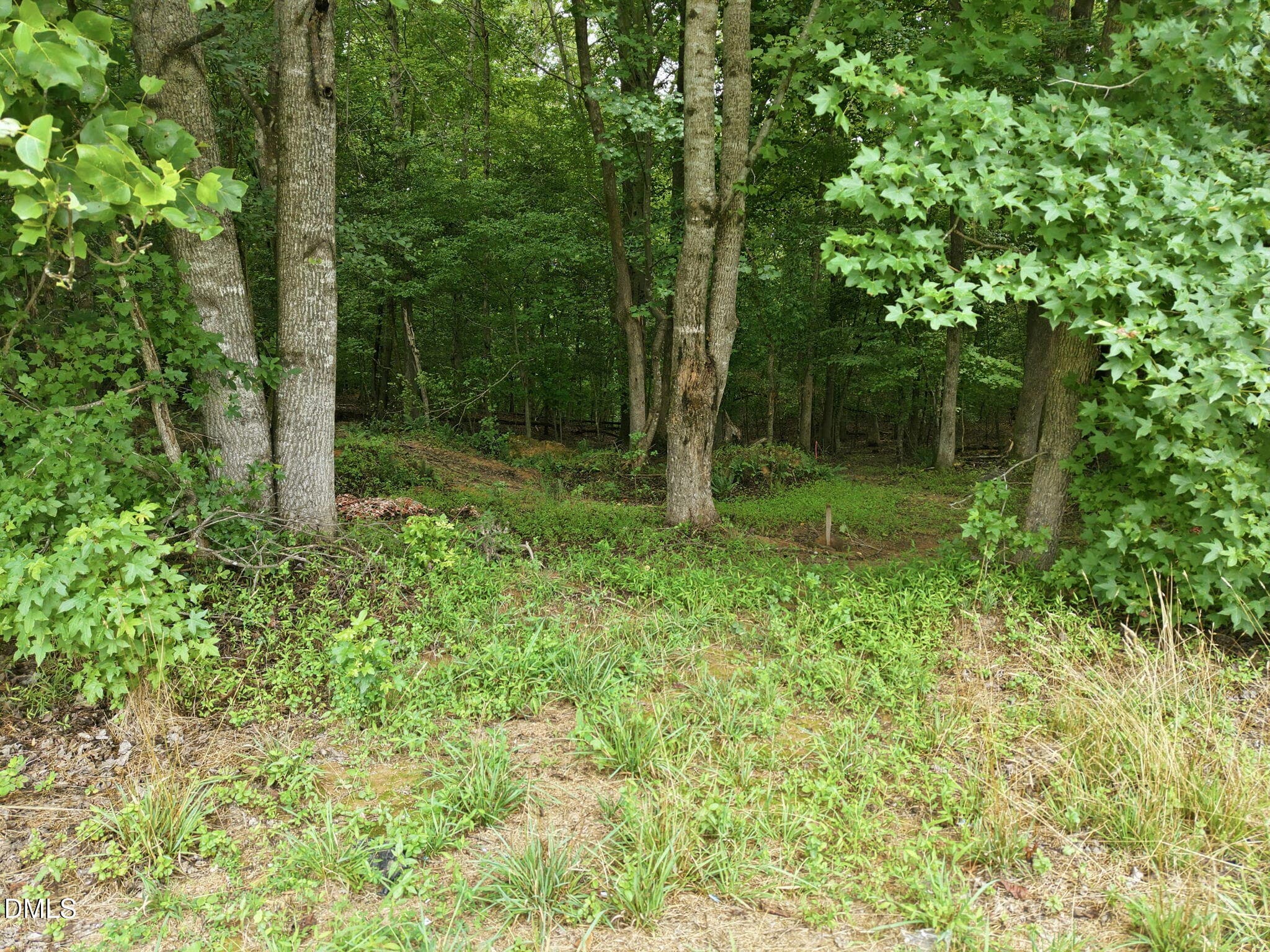 14-web-or-mls-DJI_20260713135405_0810_D - 618 Bowen Road, Rougemont, NC 27572