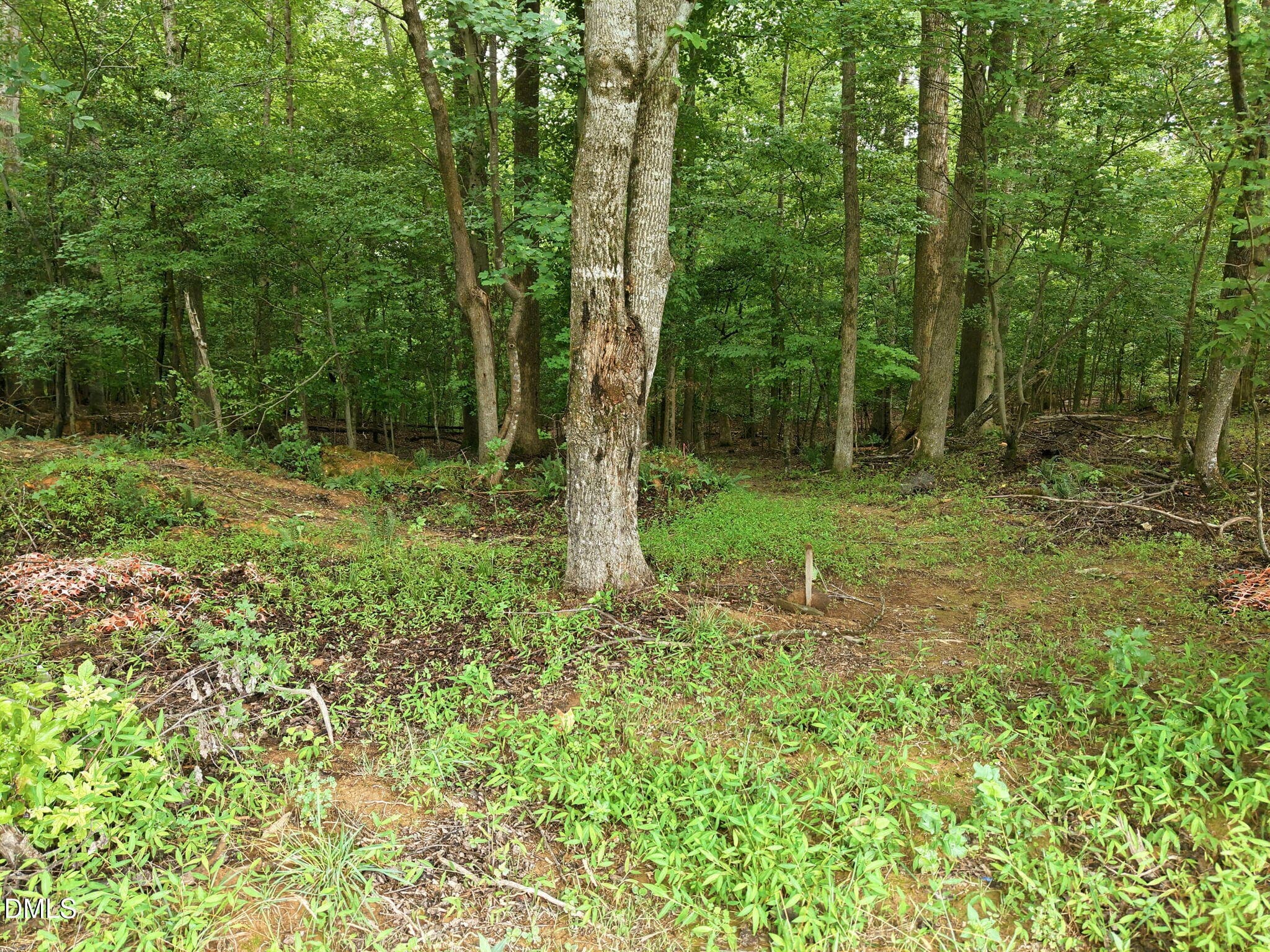 15-web-or-mls-DJI_20260713135423_0811_D - 618 Bowen Road, Rougemont, NC 27572