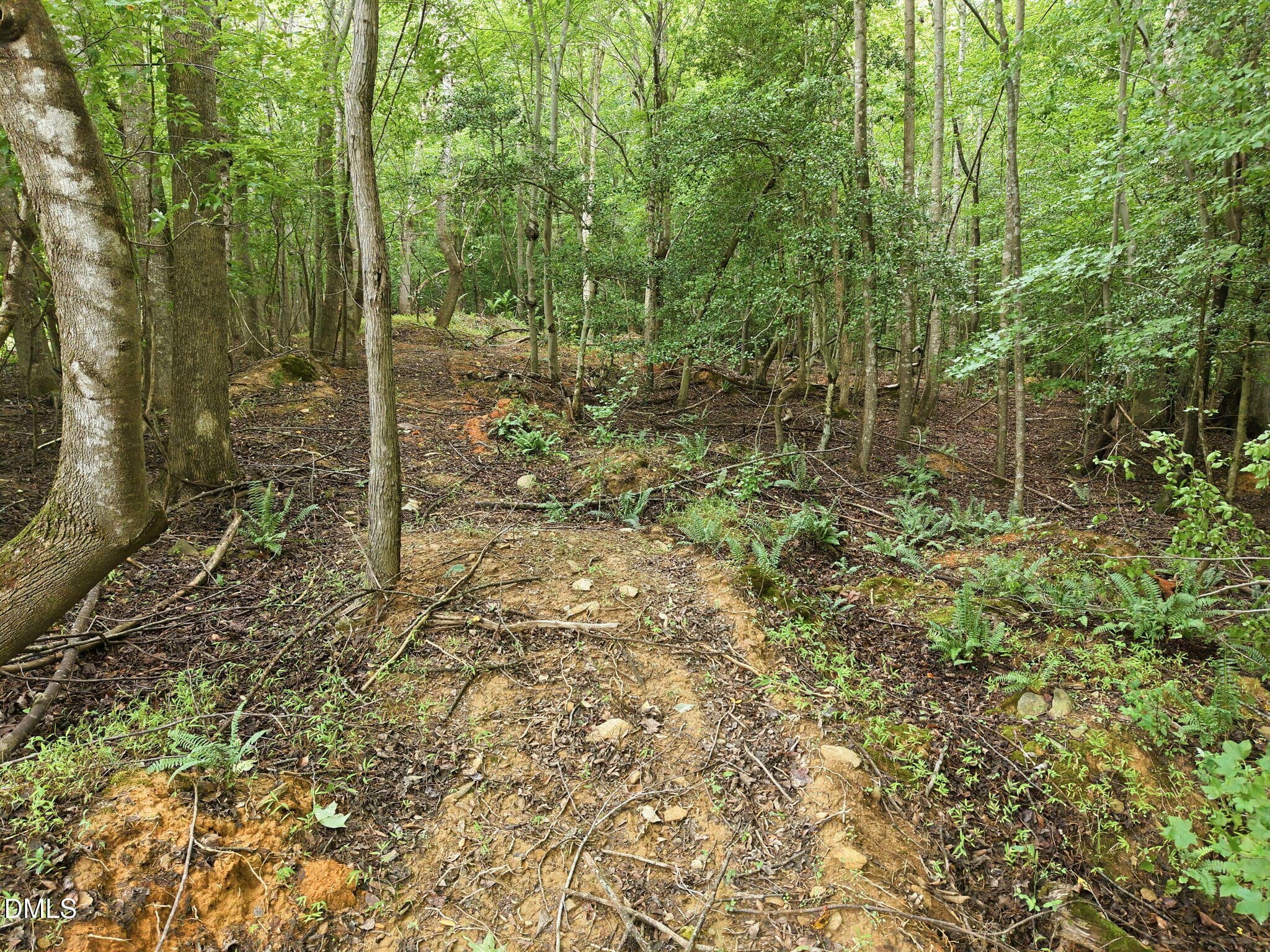 16-web-or-mls-DJI_20260713135445_0812_D - 618 Bowen Road, Rougemont, NC 27572