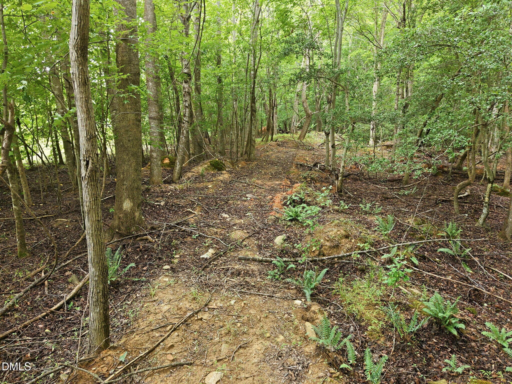 17-web-or-mls-DJI_20260713135524_0814_D - 618 Bowen Road, Rougemont, NC 27572