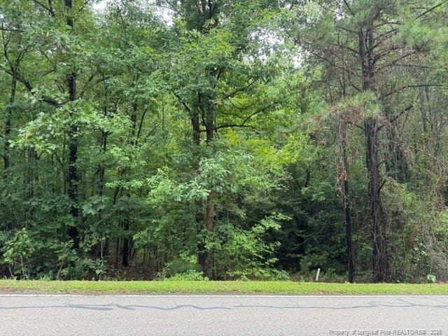 Photo 2 - 0 Carolina Way, Sanford, NC 27332
