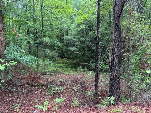 Photo 3 - 0 Carolina Way, Sanford, NC 27332