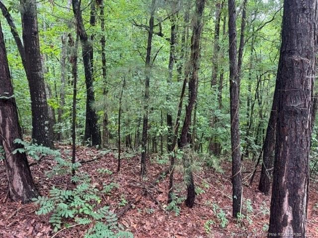 Photo 4 - 0 Carolina Way, Sanford, NC 27332