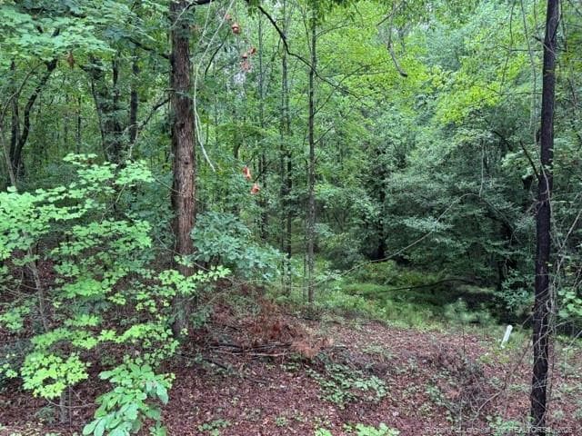 Photo 6 - 0 Carolina Way, Sanford, NC 27332