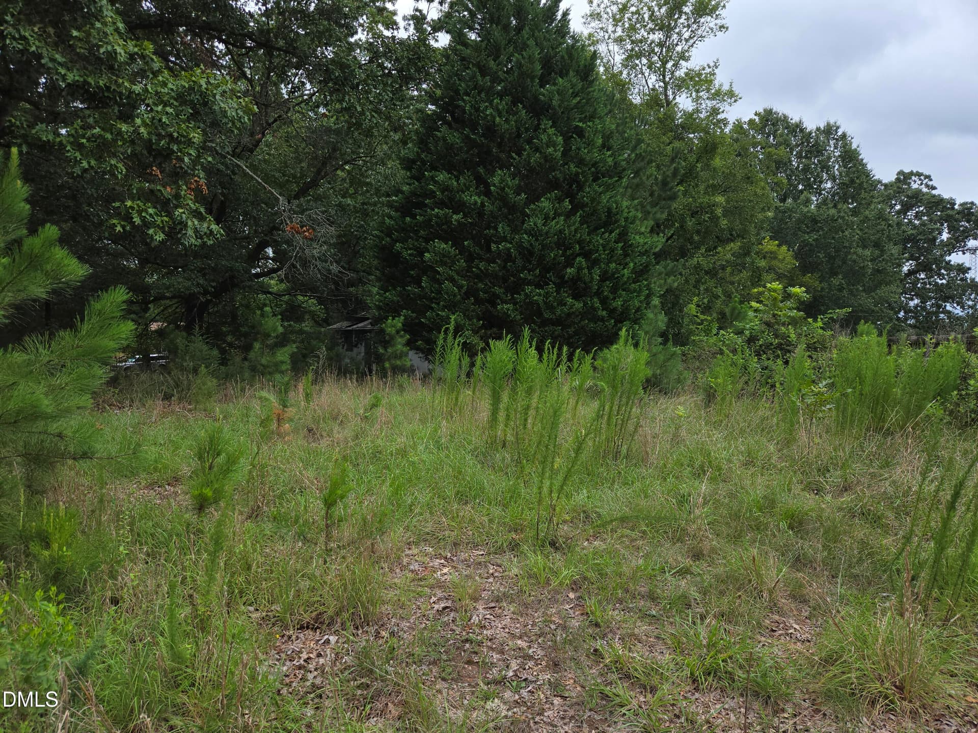 1000009589 - 2808 Durham Road, Wake Forest, NC 27587