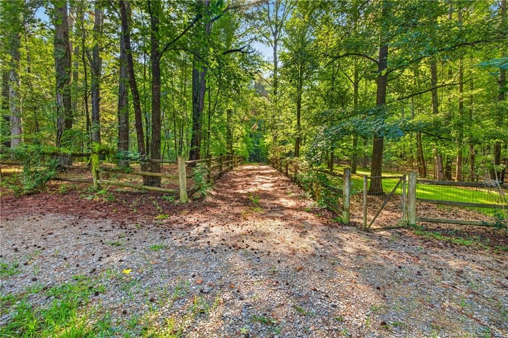 Photo 10 - 1285 Cool Springs Road, Lillington, NC 27546