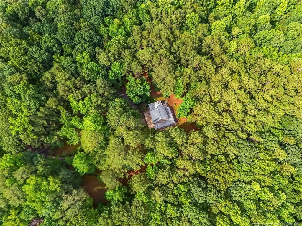 Photo 40 - 1285 Cool Springs Road, Lillington, NC 27546