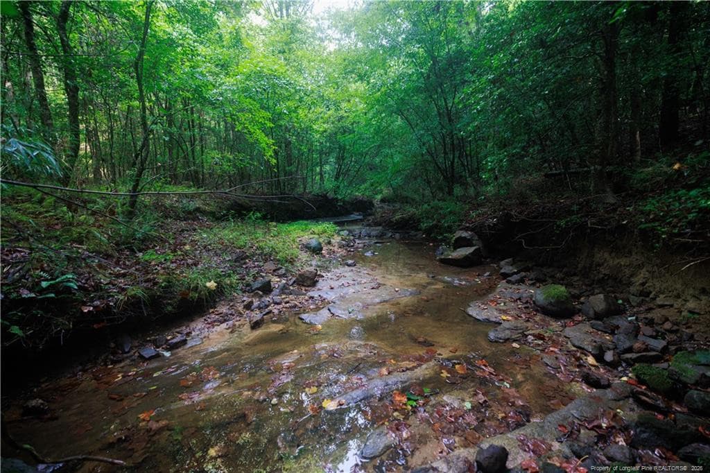 Photo 47 - 1285 Cool Springs Road, Lillington, NC 27546