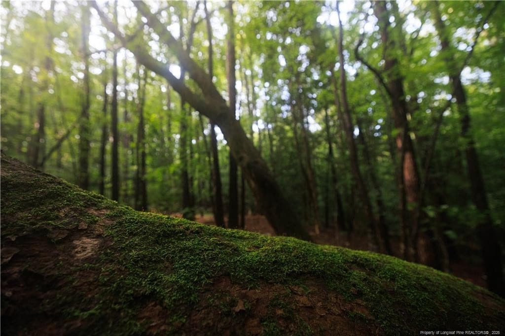Photo 48 - 1285 Cool Springs Road, Lillington, NC 27546