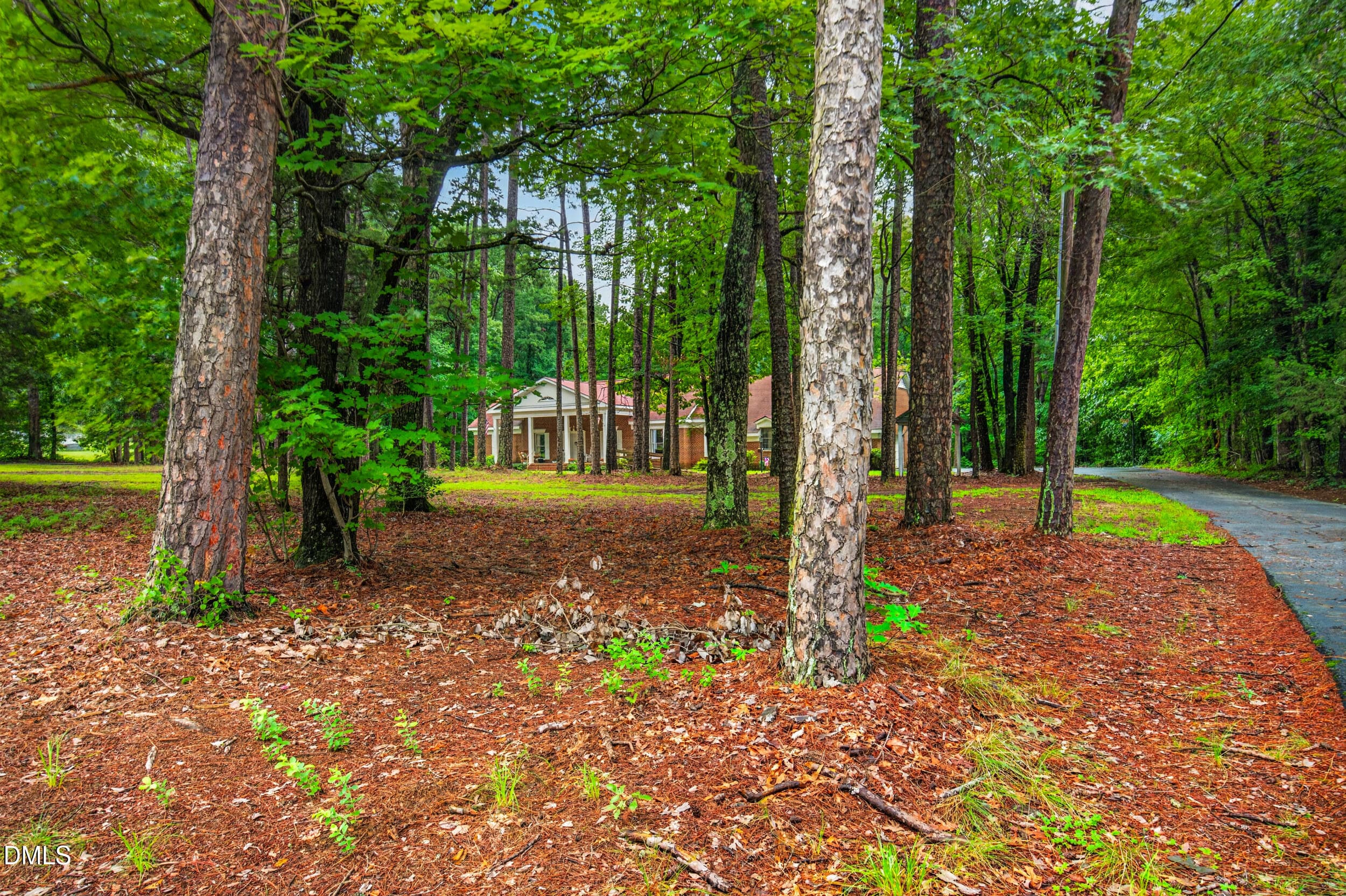 Yard - 1595 North Moore Road, Robbins, NC 27325