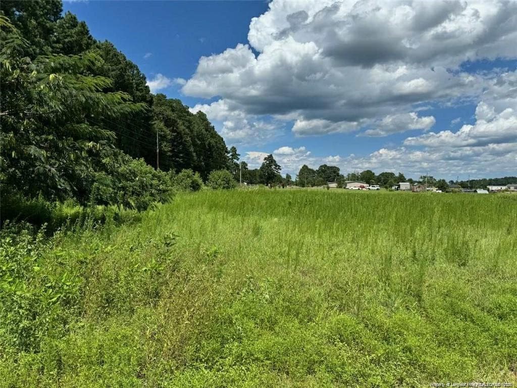 Photo 3 - 2898 McGirt Gin Road, Maxton, NC 28364