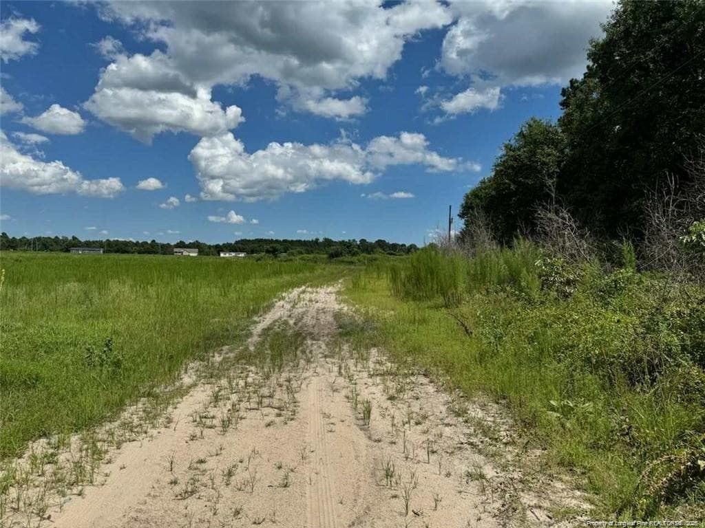 Photo 4 - 2898 McGirt Gin Road, Maxton, NC 28364