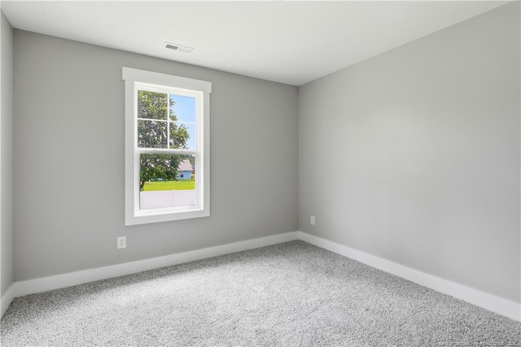 Photo 43 - 244 Cambray Downs (Lot 10) Court, Raeford, NC 28376