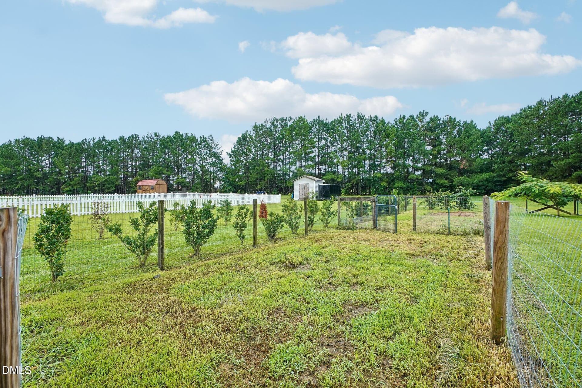 32-web-or-mls-Camden Place St-S2507-032 - 112 Camden Pl Street, Princeton, NC 27569