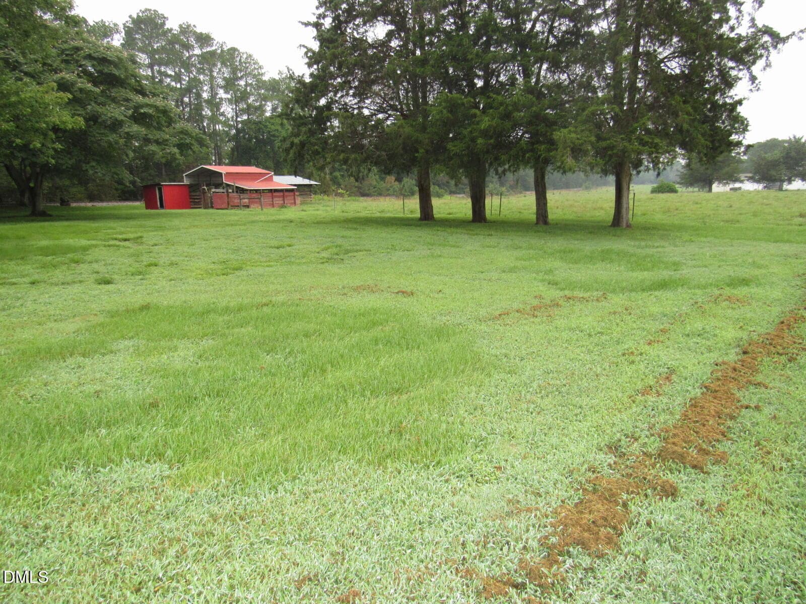 Backyard - 2635 W Lyon Station Road, Creedmoor, NC 27522, Creedmoor