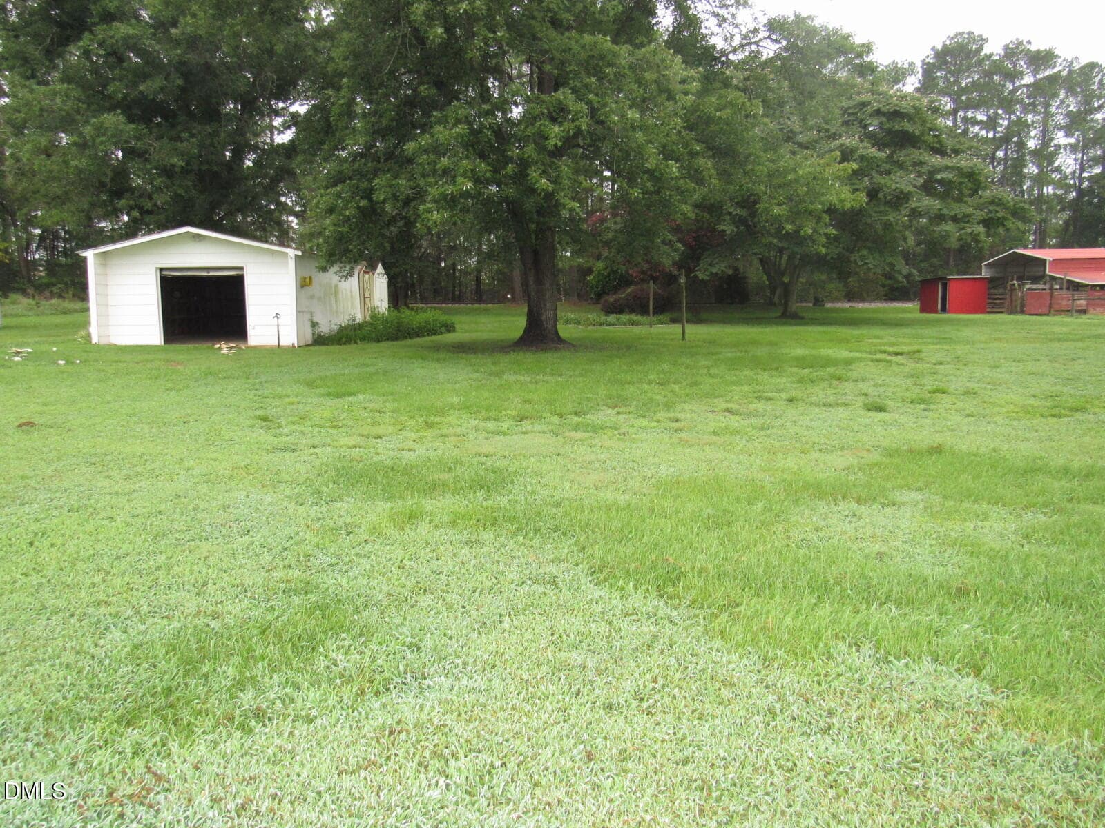 Backyard - 2635 W Lyon Station Road, Creedmoor, NC 27522, Creedmoor