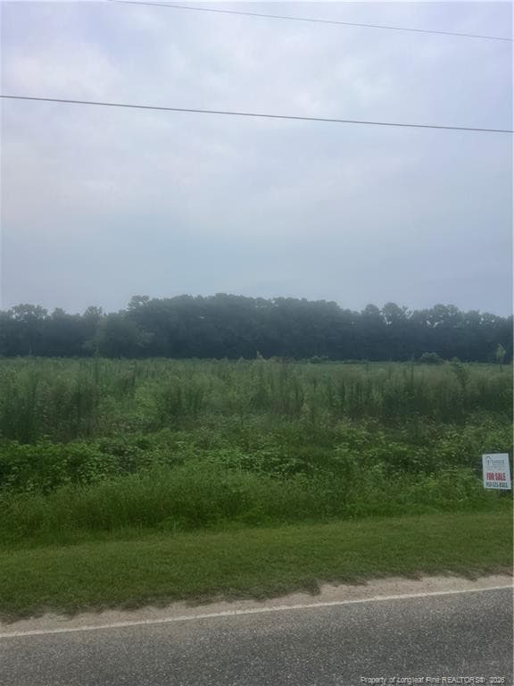 Photo 2 - DEESE Road, Pembroke, NC 28372