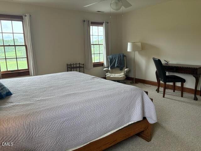 IMG_9966 - 1527 W Castalia Road, Nashville, NC 27856